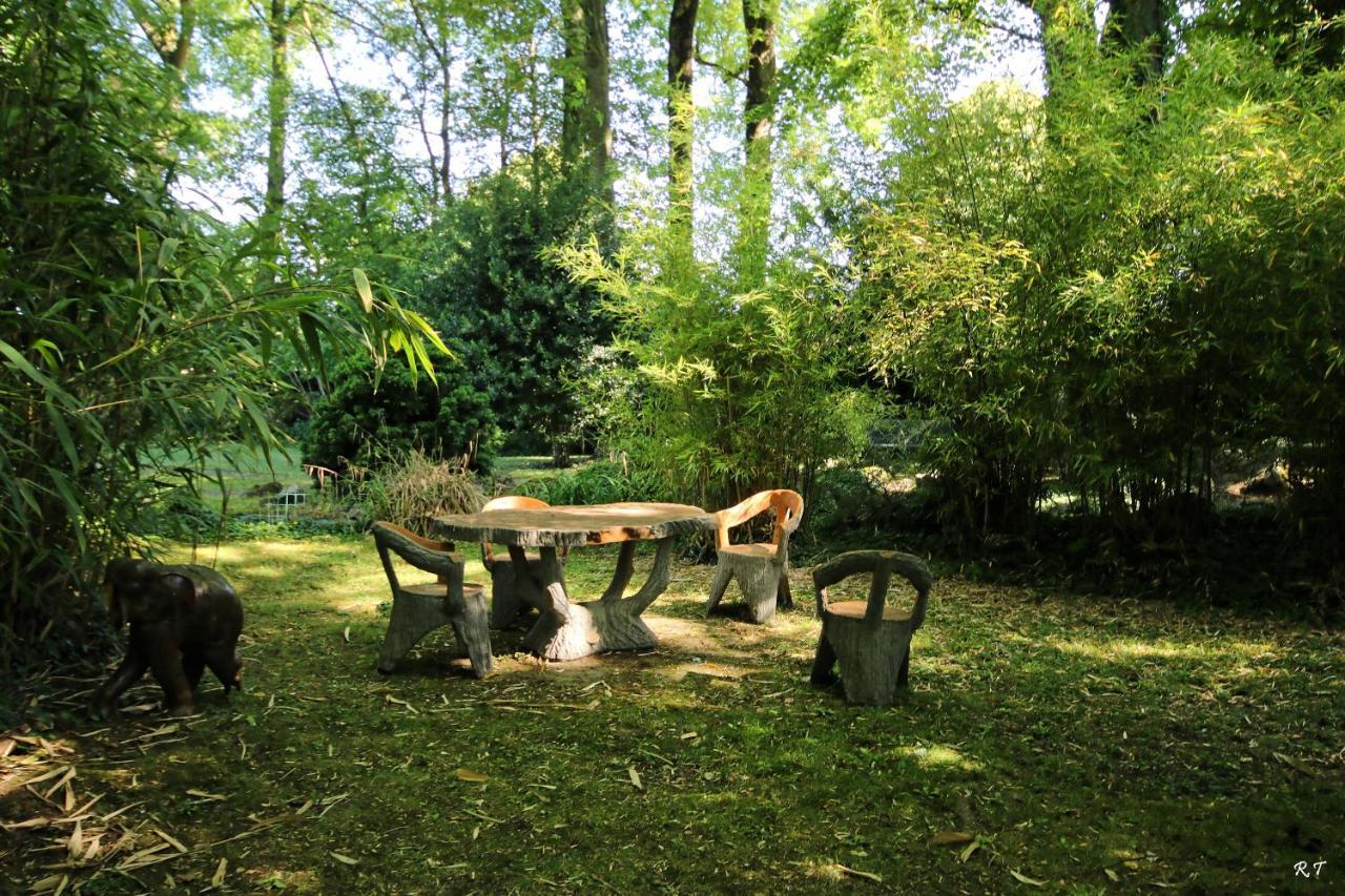 Le Manoir De La Mantille Caudry Exteriér fotografie
